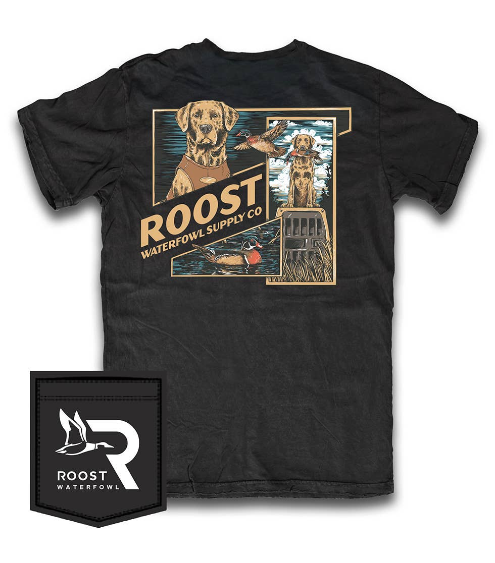 Roost Flyaway Frames